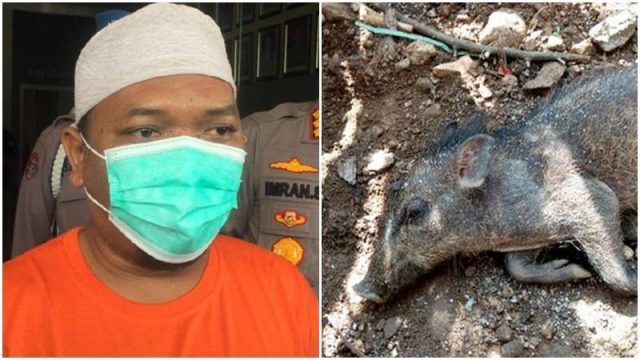 Cekricek.id - Kasus babi ngepet yang hebohkan puulblik ternyata hanya rekayasa seorang ustaz bersama 8 orang bayarannya.