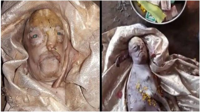 Berita viral dan trending: Kelahiran seekor kambing gemparkan warga India karena bagian tubuhnya berbentuk wajah manusia.