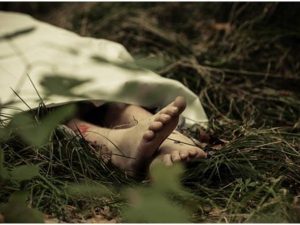 Cekricek.id - Seorang pria dibuat geger setelah menemukan sang istri terlentang tanpa pakaian sehelai pun di kebun sawit miliknya.