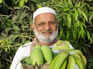 Berita trending terbaru dan berita viral terbaru : Seorang pria asal India ini ukir prestasi dengan hasilkan 300 jenis buah manga dalam satu pohon yang sama.