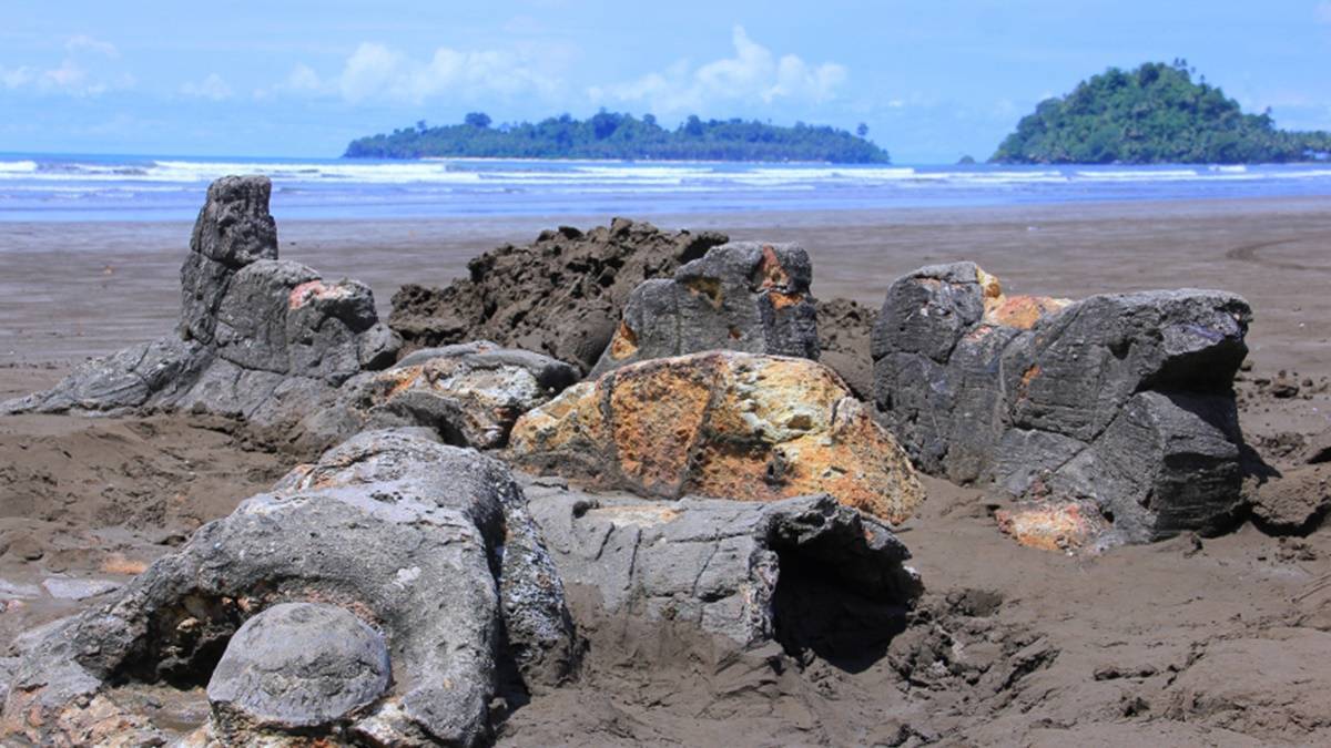 Lampiran Gambar