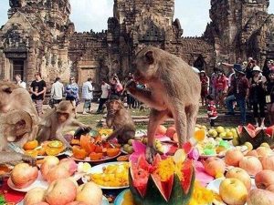 Berita trending terbaru dan berita viral terbaru : Kawasan wisata salah satu kota di Thailand ini dijajah oleh monyet agresif dan haus seks.