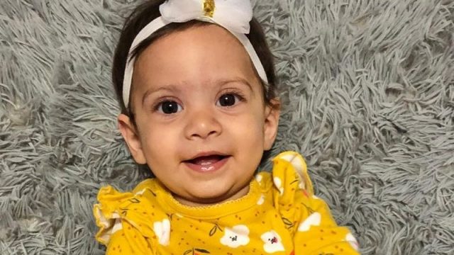 Cekricek.id - Anak 10 bulan bernama Malia Scott Winberry di Willow Spring, North Carolina, Amerika meninggal diserang anjing peliharaan.