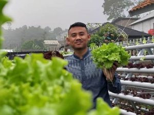 Cekricek.id: Nah berikut ini berbagai prospek bisnis pertanian bagi kamu seorang milenial. 