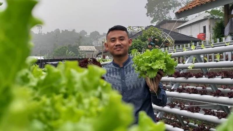 Cekricek.id: Nah berikut ini berbagai prospek bisnis pertanian bagi kamu seorang milenial. 