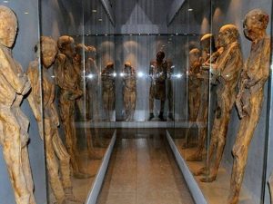 3 Museum Ini Punya Koleksi yang Bikin Buluk Kuduk Berdiri