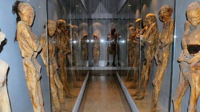 3 Museum Ini Punya Koleksi yang Bikin Buluk Kuduk Berdiri