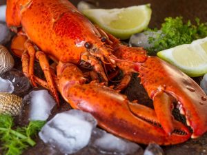 Fakta Lobster