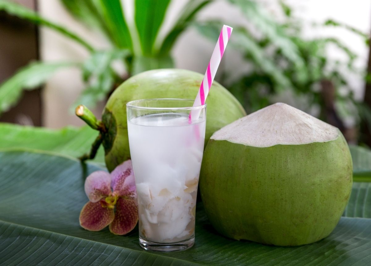 Kelapa muda.
