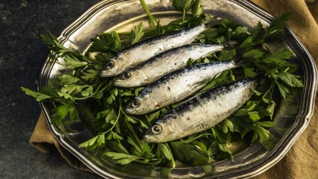 Manfaat makan ikan sarden
