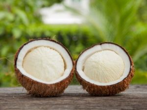 Berita terbaru hari ini: Manfaat kentos kelapa