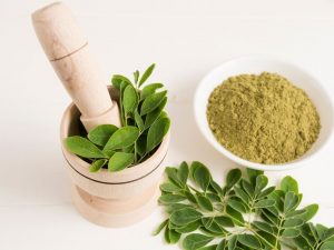 Berita terbaru hari ini: Manfaat daun kelor