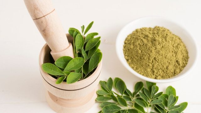 Berita terbaru hari ini: Manfaat daun kelor