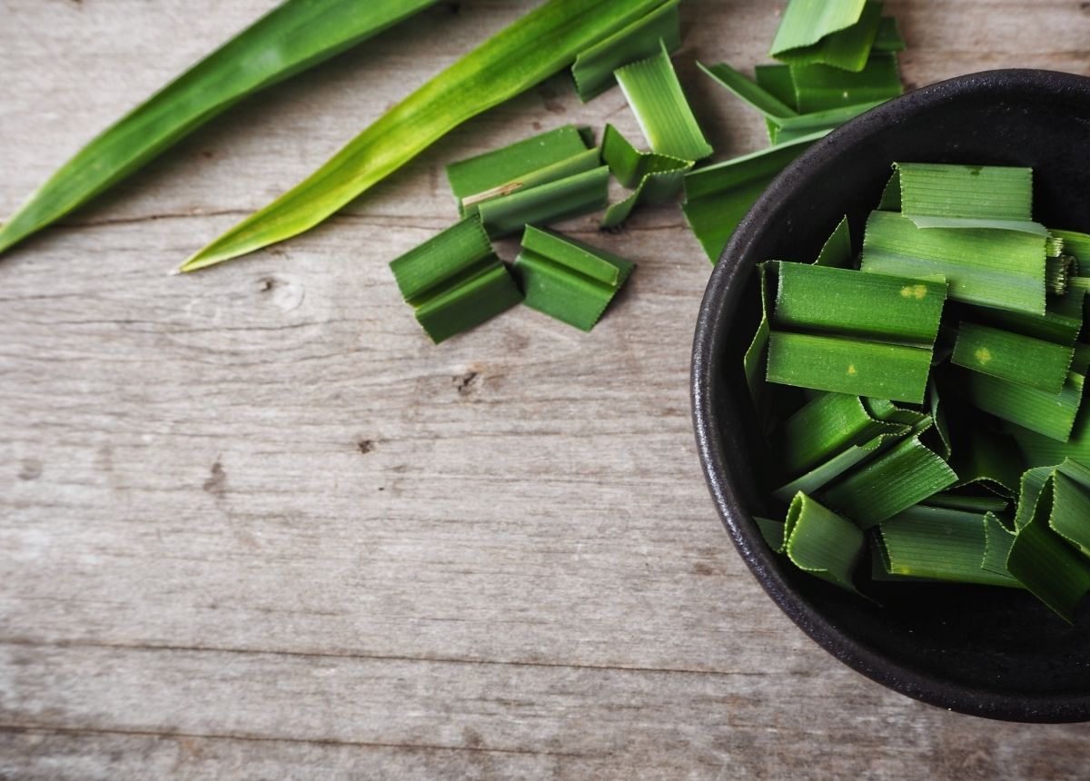 Daun Pandan