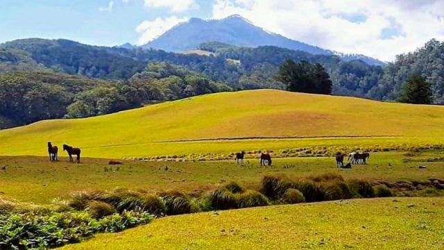 Potret Surga Tersembunyi di Fatumnasi Nusa Tenggara Timur
