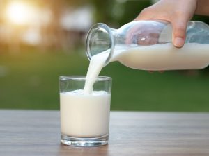 Berita terbaru hari ini: Manfaat susu basi