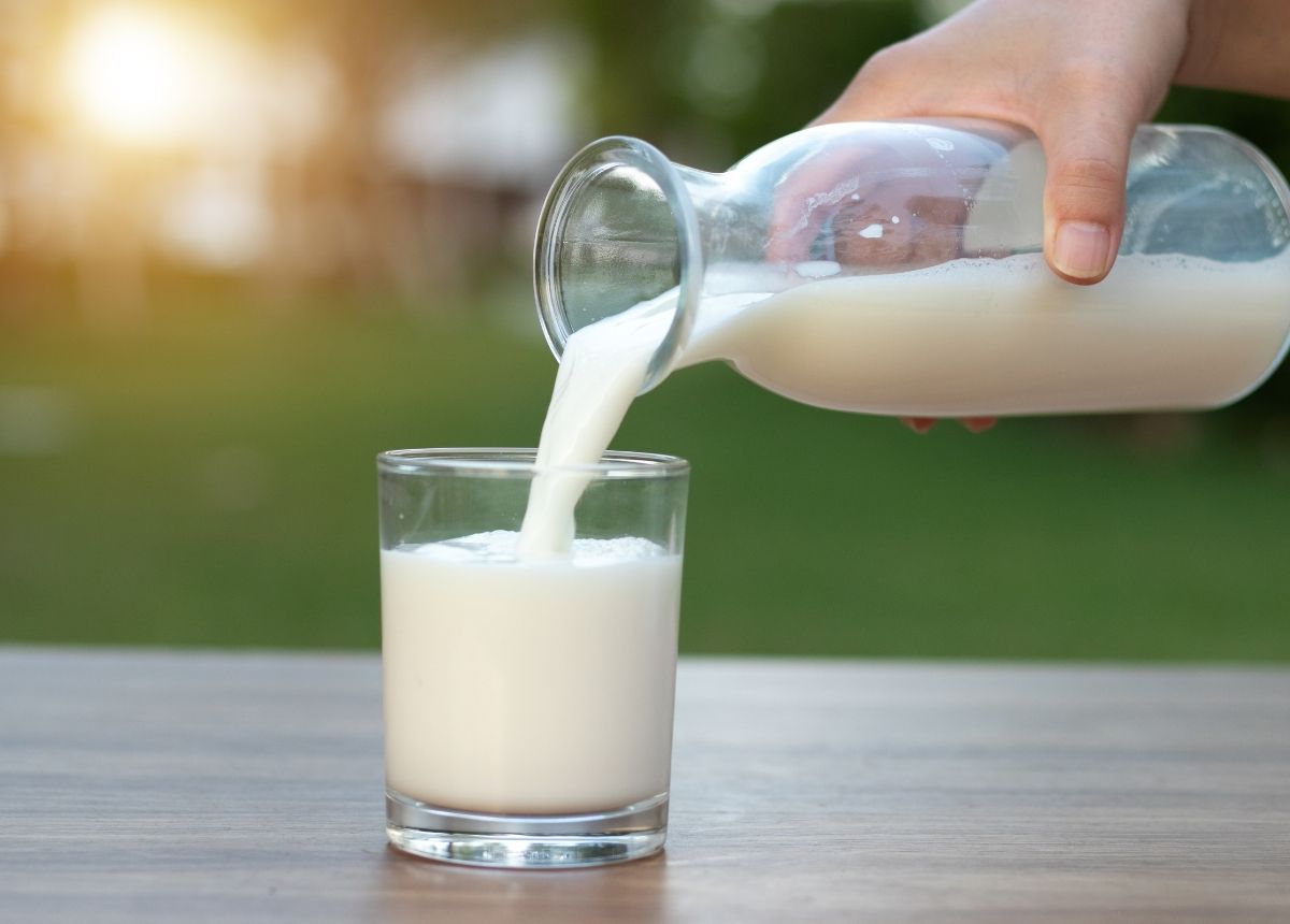 Berita terbaru hari ini: Manfaat susu basi - Berita gaya hidup, kesehatan, dan tips terbaru hari ini: ini cara untuk menghilangkan rasa pedas, salah satunya minuman asam serta susu.