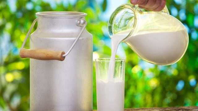 Susu Tak Sehat Jika Dikombinasikan dengan 4 Makanan Ini
