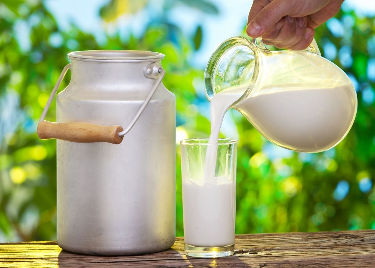 Anak Minum Susu Terlalu Banyak, Bisa Bikin Gemuk