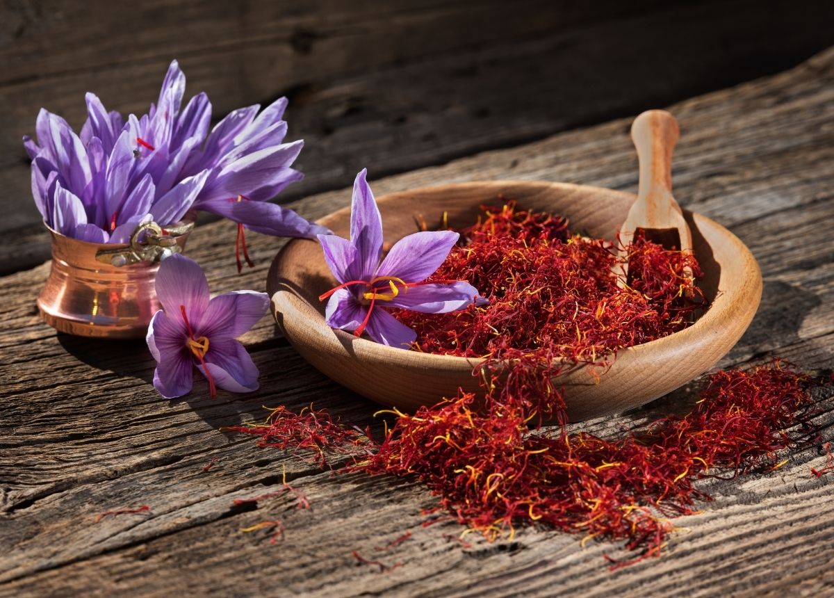 Berita terkini, terbaru, dan berita pilihan hari ini: Saffron adalah rempah termahal di dunia. Saffron tangkai putik bunga crocus sativus.