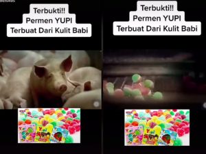 Berita terbaru, terkini dan berita pilihan hari ini: Beredar informasi kalau permen Yupi terbuat dari kulit babi, bagaimana faktanya?