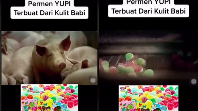 Berita terbaru, terkini dan berita pilihan hari ini: Beredar informasi kalau permen Yupi terbuat dari kulit babi, bagaimana faktanya?