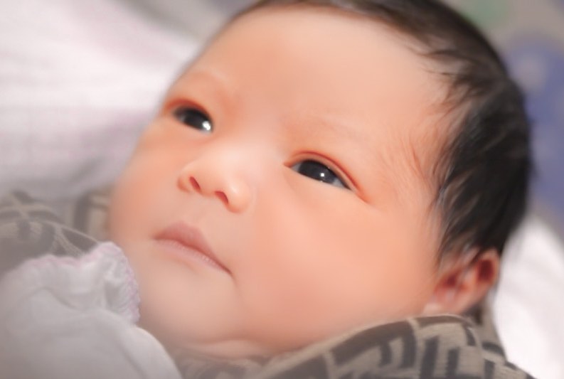 Lampiran Gambar