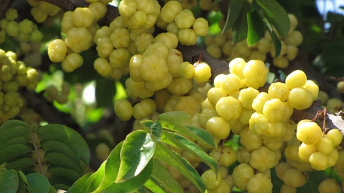 Sayuran dan Buah Ini Ampuh Hilangkan Flek Hitam di Wajah