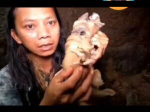 Berita Terbaru: Seorang pria berambut gondrong ini mengaku berhasil menangkap raja jin. Tidak hanya ditangkap, raja jin ini pun akhirnya dimakan