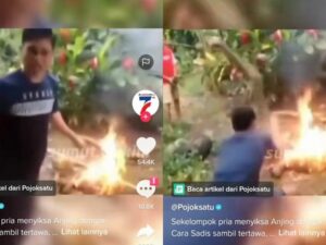 Berita terkini: Viral di media sosial video beberapa pria menyiksa kemudian membakar seekor anjing viral, Sabtu 12 Februari 2022.