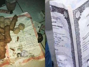 Berita Terbaru: Miris, tak kunjung dapat panggilan dari tempat melamar kerja, ternyata ijazah sudah jadi pembungkus gorengan di pasar