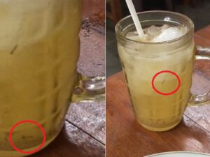 Berita terkini, terbaru, dan berita pilihan hari ini: Apa jadianya jika es jeruk yang hendak kita minum berisi juga jentik-jentik nyamuk, masih mau meminumnya kah?