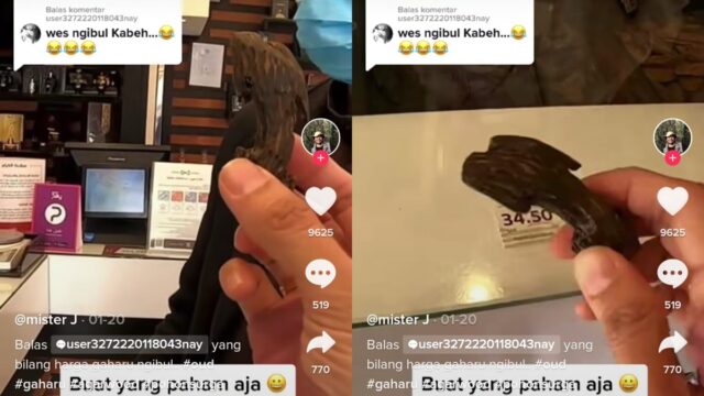 Berita terbaru : Sepotong kecil Gaharu Indonesia di Arab Saudi dijual seharga Rp 1.6 juta, atau sekitar 400 Riyal.