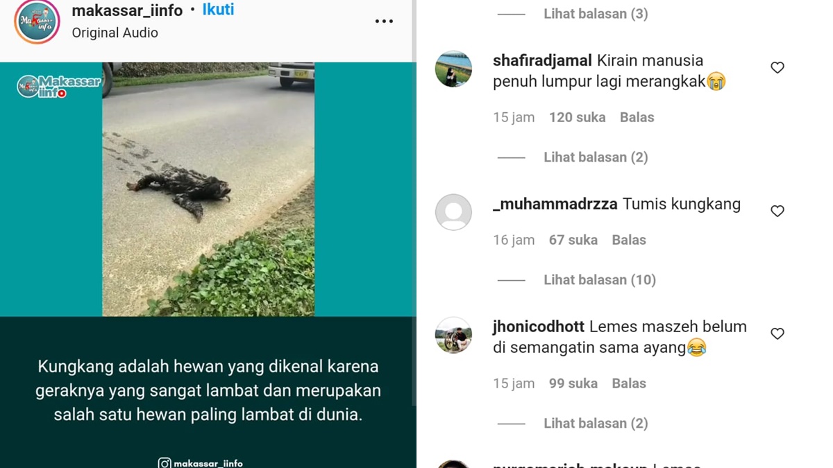 Lampiran Gambar