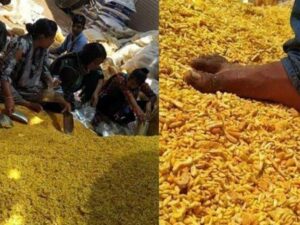 Beritaterkini, terbaru, dan berita pilihan hari ini: Viralnya foto karyawan injak snack kiloan dalam pembuatannya membuat netizen merasa mual.
