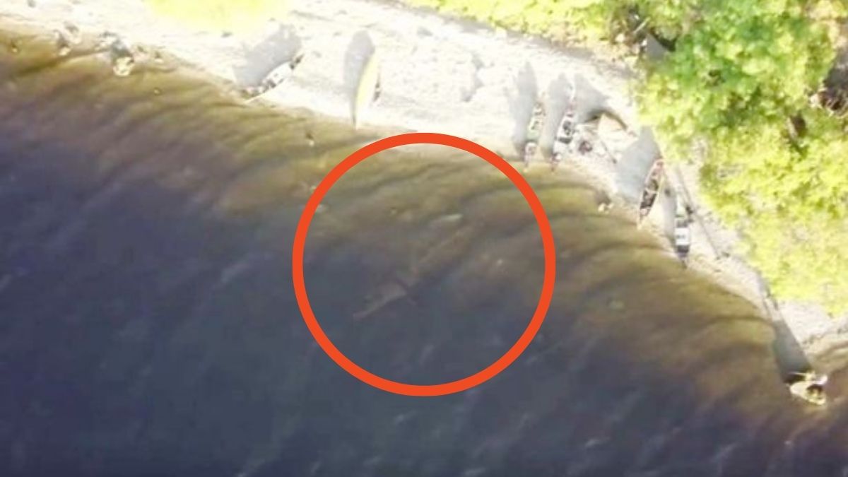 Berita viral: Seorang pria terkejut setelah menyadari berhasil merekam penampakan monster Loch Ness di tepi danau menggunakan drone.