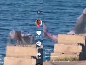 Berita terbaru: Sebuah video penampakan putri duyung di laut yang duduk di atas perahu viral di media sosial yang timbulkan berbagai spekulasi warganet.