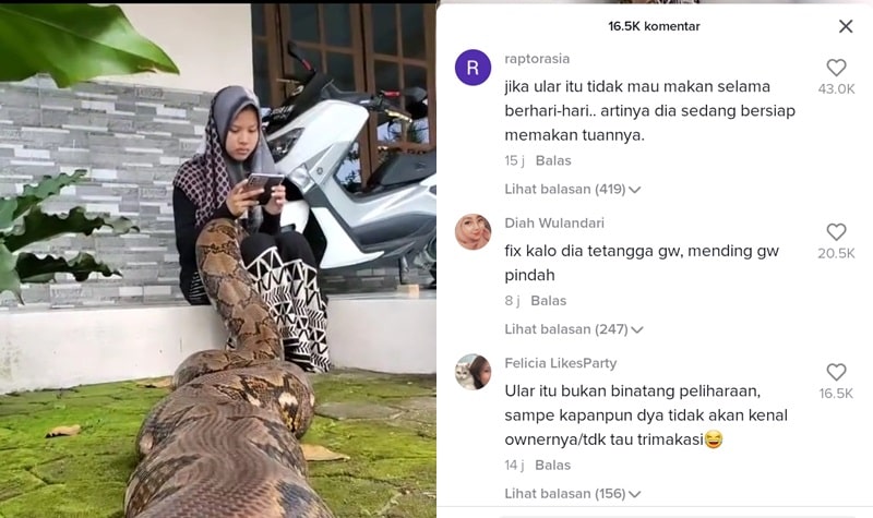 Lampiran Gambar