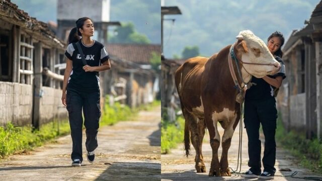 Berita artis: Chef Renatta membagikan potret dirinya bersama dengan sapi berukuran cukup besar. Gaya boyishnya memikat hati penggemar.