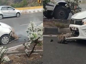 Seekor Macan tutul tertabrak mobil dan tersangkut di kap mobil itu. Tapi kemudian ia bisa membebaskan diri setelah pengemudi memundurkan mobilnya.