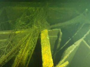Amber Room, Keajaiban Dunia Ke-8 Berhasil Ditemukan di Kapal Karam Peran Dunia II