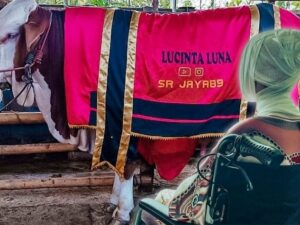 Lucinta Luna unggah foto hewan kurban dan kondisi terduduk lemas tak berdaya pada perayaan idul Adha setelah ‘menggorok leher’.