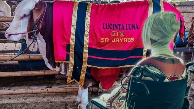 Lucinta Luna unggah foto hewan kurban dan kondisi terduduk lemas tak berdaya pada perayaan idul Adha setelah ‘menggorok leher’.