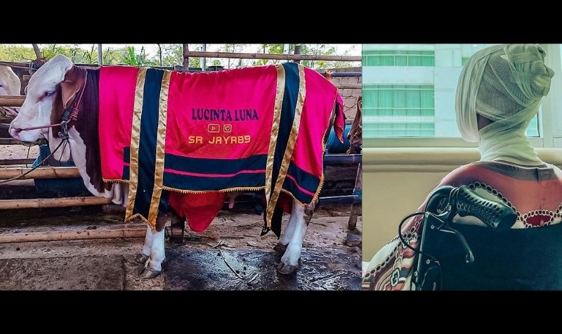 Lucinta Luna unggah foto hewan kurban dan kondisi terduduk lemas tak berdaya pada perayaan idul Adha setelah ‘menggorok leher’.