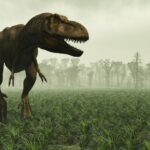 Penemuan spesies dinosaurus baru mengungkap alasan dibalik hewan purba tersebut mempunyai tengkorak besar namun bertangan kecil.