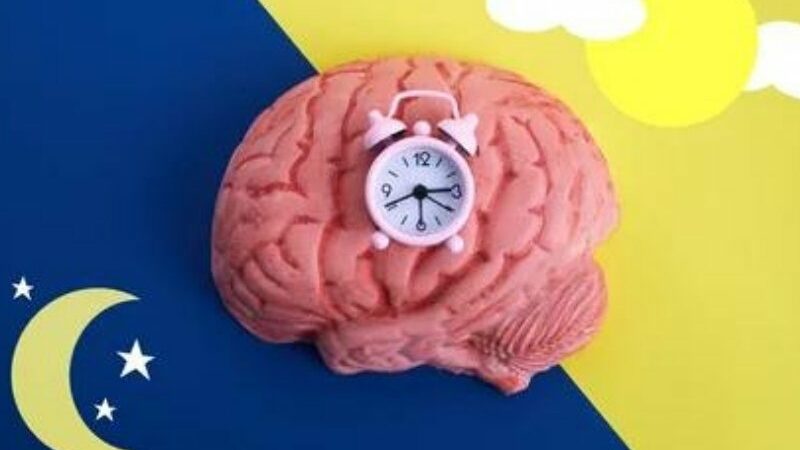 Cekricek.id - Tidur adalah salah satu aspek paling penting dari kesehatan fisik dan mental seseorang. Tidur tidak hanya memungkinkan tubuh kita untuk beristirahat dan mengisi ulang energi, tetapi juga dapat membantu kita mengelola stres. Secara keseluruhan, tidur memainkan peran utama dalam pertumbuhan, perkembangan, kelangsungan hidup, dan kesejahteraan.