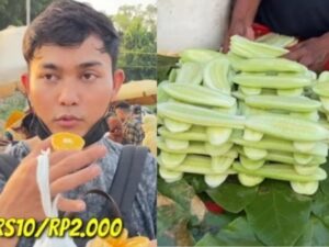 Cekricek.id - Mungkin kamu baru tahu, di India ada yang namanya pasar maling. Berbeda dari namanya, pasar maling ternyata tak ada indikasi yang negatif dari barang-barang yang dijual. Lalu, apa sih sebenarnya yang dijual di sana dan kenapa namanya pasar maling?