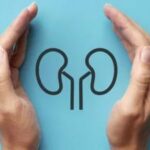 Ginjal menjadi salah satu organ tubuh yang sangat penting. Namun, pernahkah kamu memikirkan bagaimana cara menjaga kesehatan ginjal?