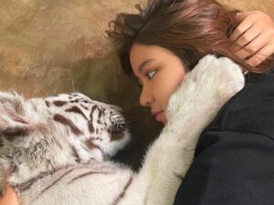 Cekricek.id – Lagi-lagi pose daripada penyanyi cantik Tiara Andini membuat banyak netizen takut saat memeluk Selen, seekor harimau putih