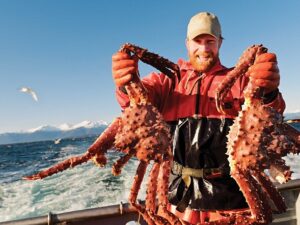 Pernah mendengar nama kepiting Alaska. Ya, kepiting ini merupakan salah satu kepiting dengan ukuran jumbo yang berada di perairan Alaska